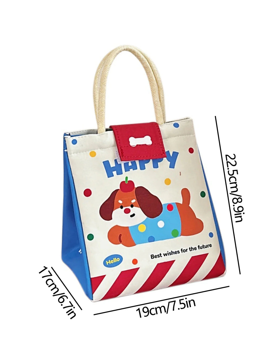 Lunch Box Bag