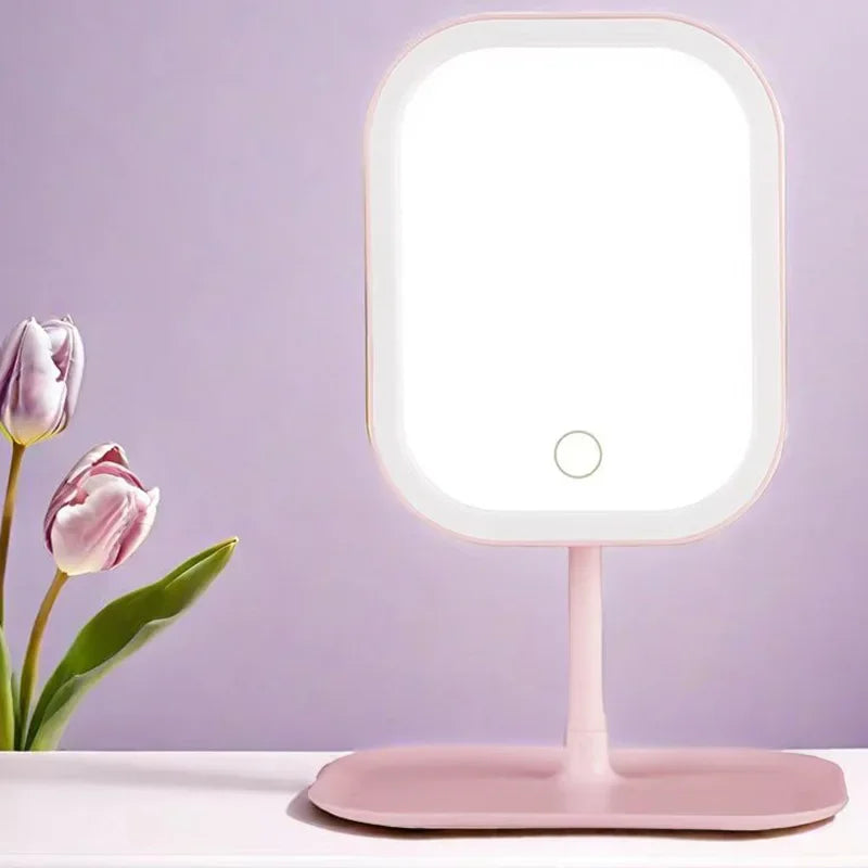 Unique Designer Vanity Mirror Three ColorsLEDLight